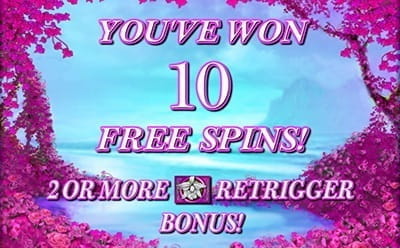 10 Free Spins