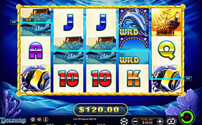 50 Dolphins Slot Big Win