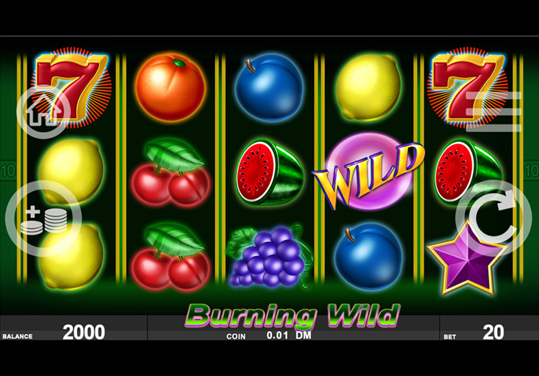 Free Demo of the Burning Wild Slot