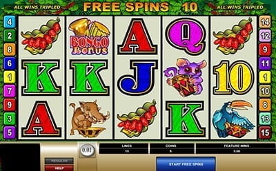 Bush Telegraph Free Spins