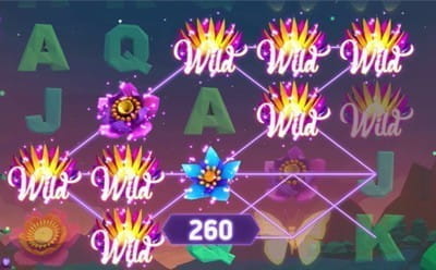 Butterfly Staxx Slot Bonus Round