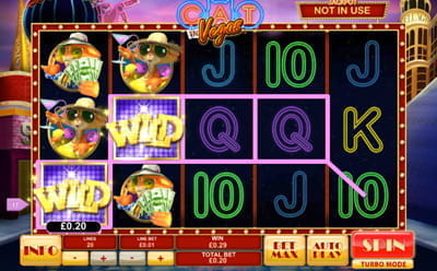 Cat in Vegas Slot Mobile