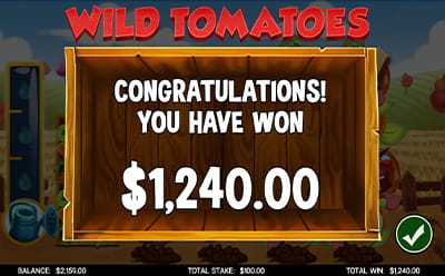 Crazy Veg Slot Bonus Round