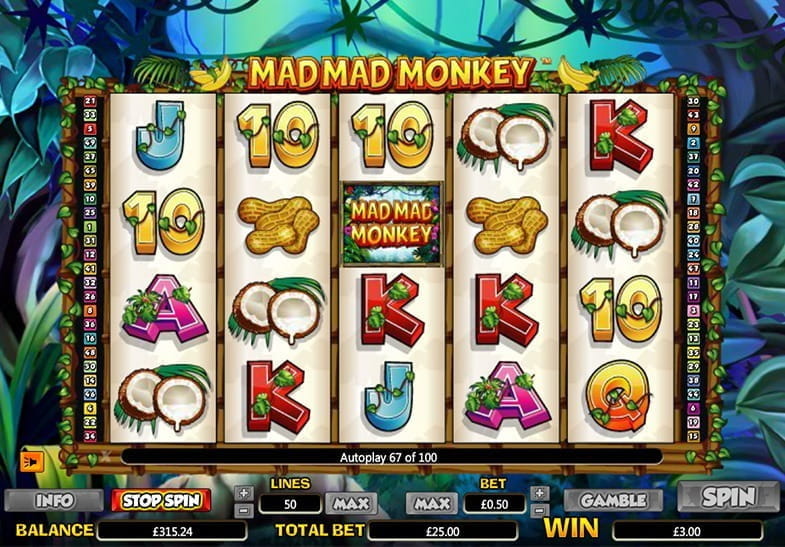 Mad Mad Monkey Demo Slot