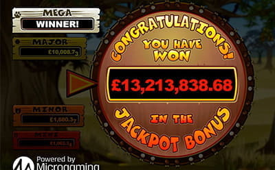 Big Win at Mega Moolah