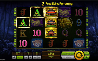 Panda's Run Slot Free Spins