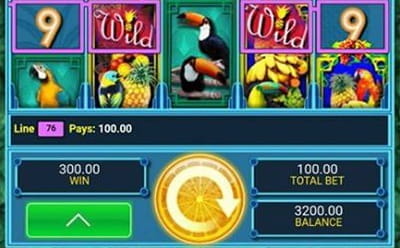 Samba de Frutas Slot on Mobile