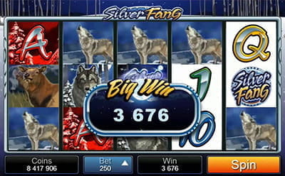 Big Win at Silver Fang