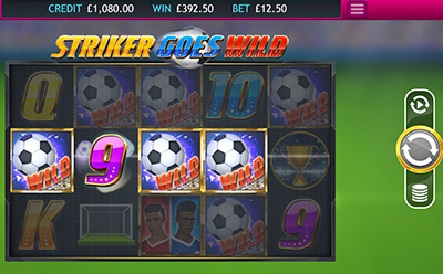 Striker Goes Wild Slot Gamble Feature