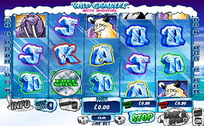 Wild Gambler Arctic Adventure Slot Gameplay